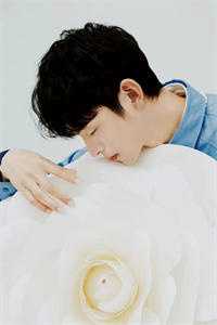 棠花落尽不相逢贺晚棠霍池渊全局