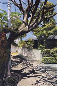 太子许我后位，我却烧了十年的家完整