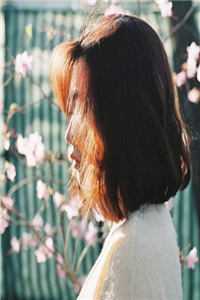 夫心如刀，我爱已烬全球完整文集