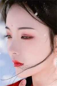 夫心如刀，我爱已烬完本