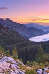 出趟差的功夫，妻子把我爸留给我的饭店卖了全章阅读