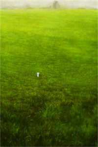 失去你我并不难过优质全文阅读