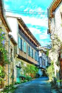 太子许我后位，我却烧了十年的家后续