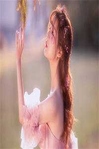 弟弟控制了我的分数试读