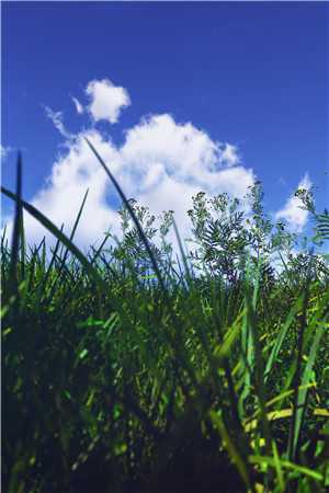 女儿死在了大年初三，老公却说晦气爽文