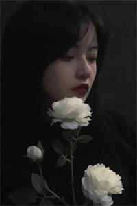 重生后借势翻盘，大小姐太飒了前文+