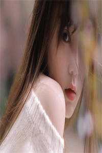 爱意两难全，我已死心免费阅读全文