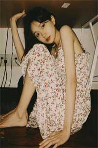 海棠开尽再无君精彩