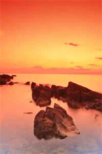 小小赘婿候选人，想抢我女儿家产小说免费阅读