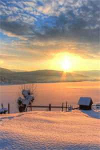 爱恨迟暮一叶秋免费看