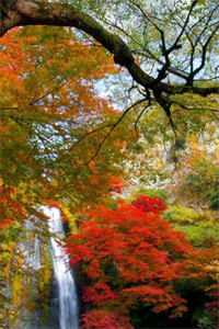 七年成灰前文+番外