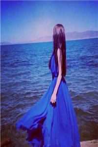 情止黎明前完结