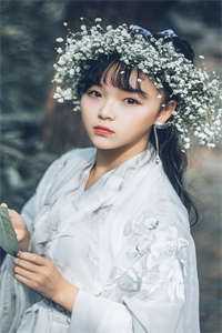 若再重逢，愿不相识免费阅读全文