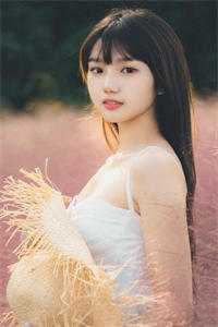 爱恨迟暮一叶秋无删版