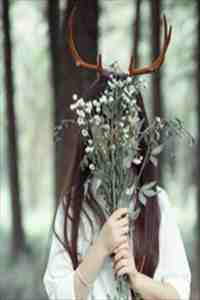 一楫撑开满江雨全章节阅读