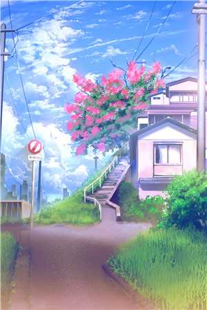 相恋五年，我只是个冤种高口碑