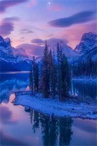 野狗噬娇骨小说免费