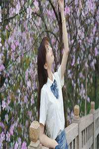 情止黎明前阅读