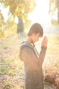 我将春山付雪葬小说免费